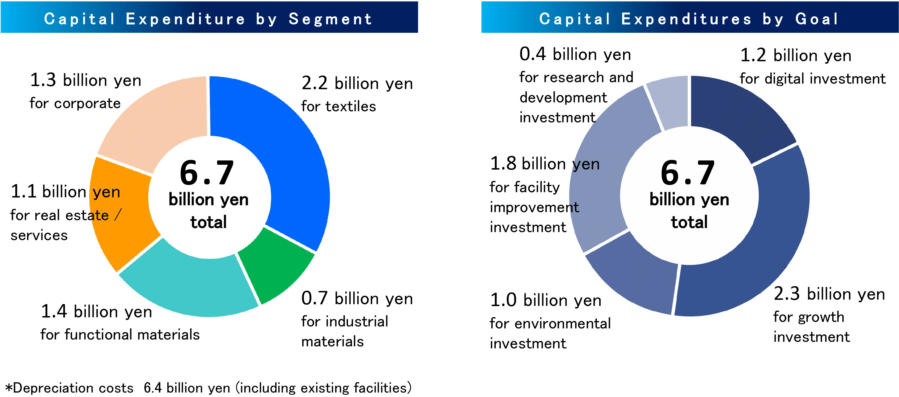 Capital Expenditure
